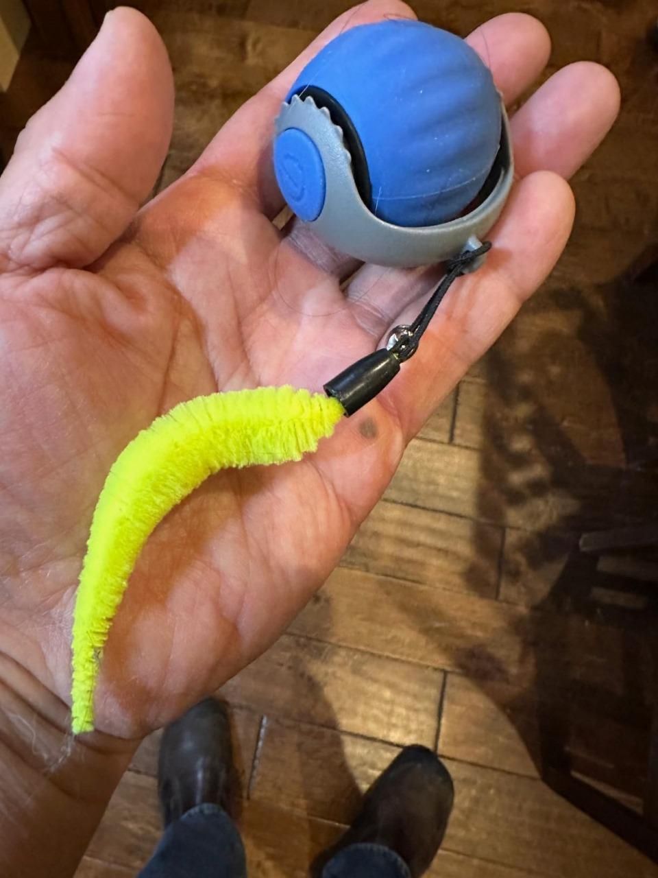 Old 🐾 Rolling Ball Cat Toy – Interactive Fun for Your Feline