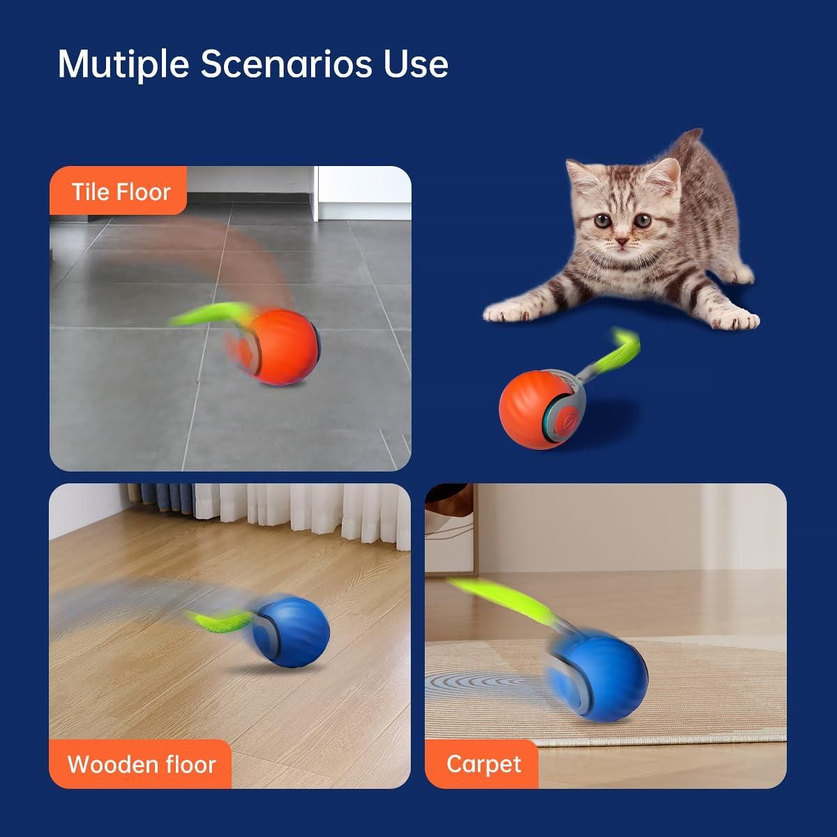 Old 🐾 Rolling Ball Cat Toy – Interactive Fun for Your Feline