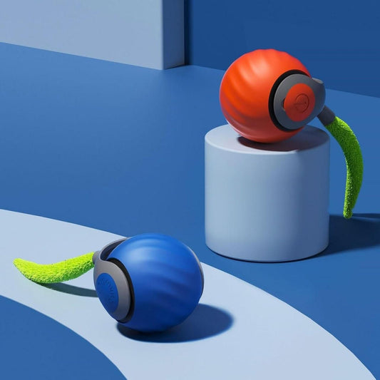 Old 🐾 Rolling Ball Cat Toy – Interactive Fun for Your Feline