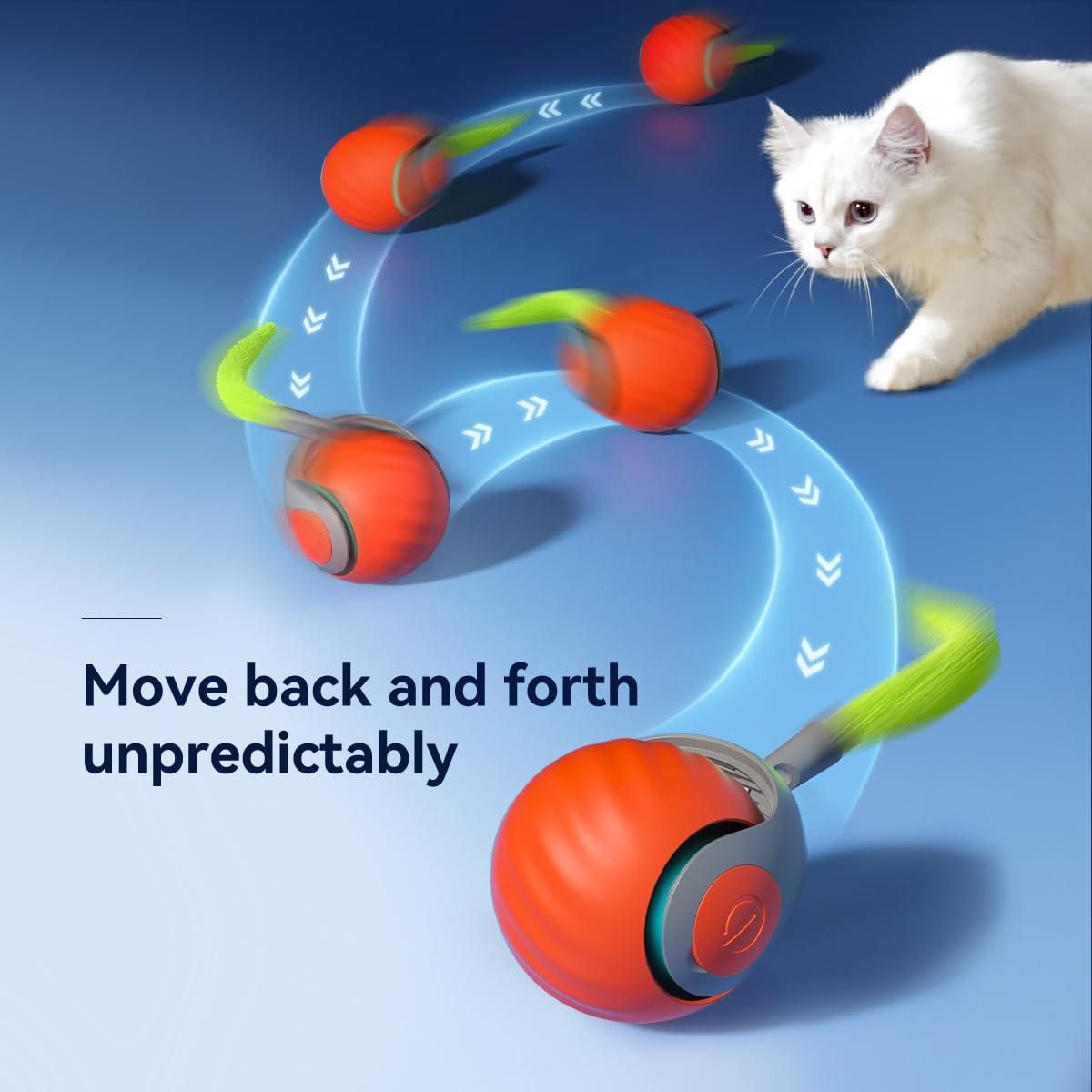 Old 🐾 Rolling Ball Cat Toy – Interactive Fun for Your Feline
